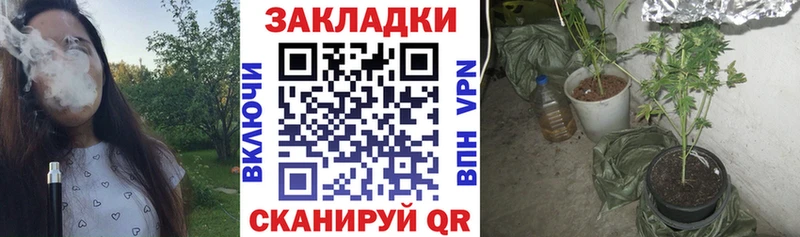 Где можно купить наркотики Артём СК  Псилоцибиновые грибы  Гашиш 