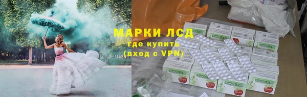 СК Кодинск