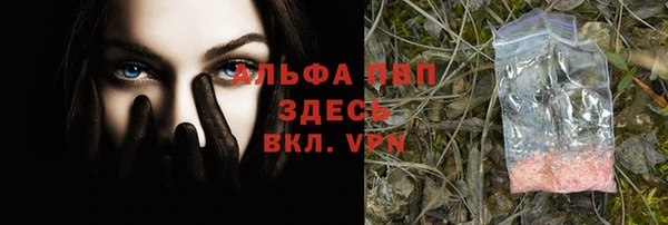 СК Кодинск