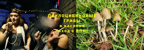 меф Козельск