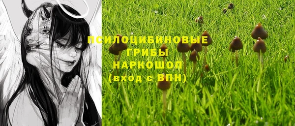 меф Козельск